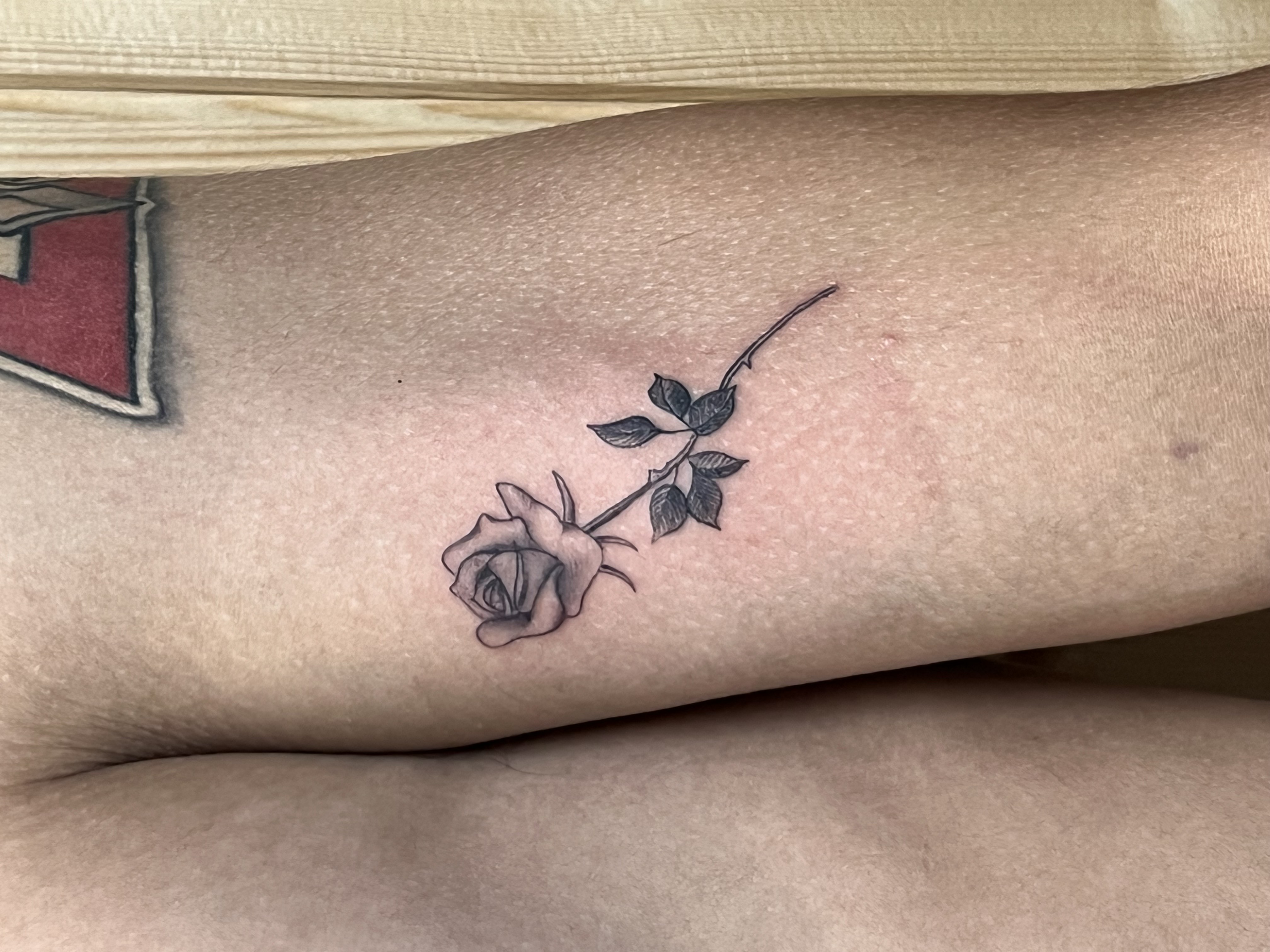 Daniel's Work - Fine Linework