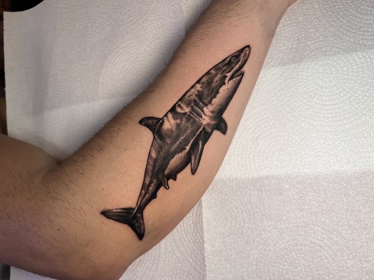 Daniel's Work - Custom Art