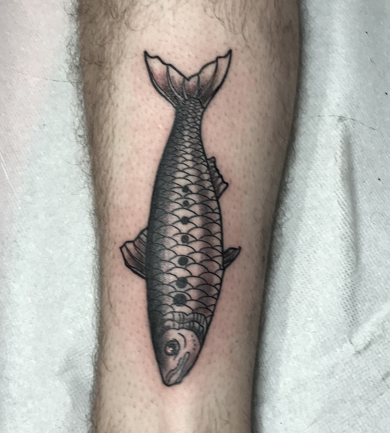 Daniel's Work - Linework