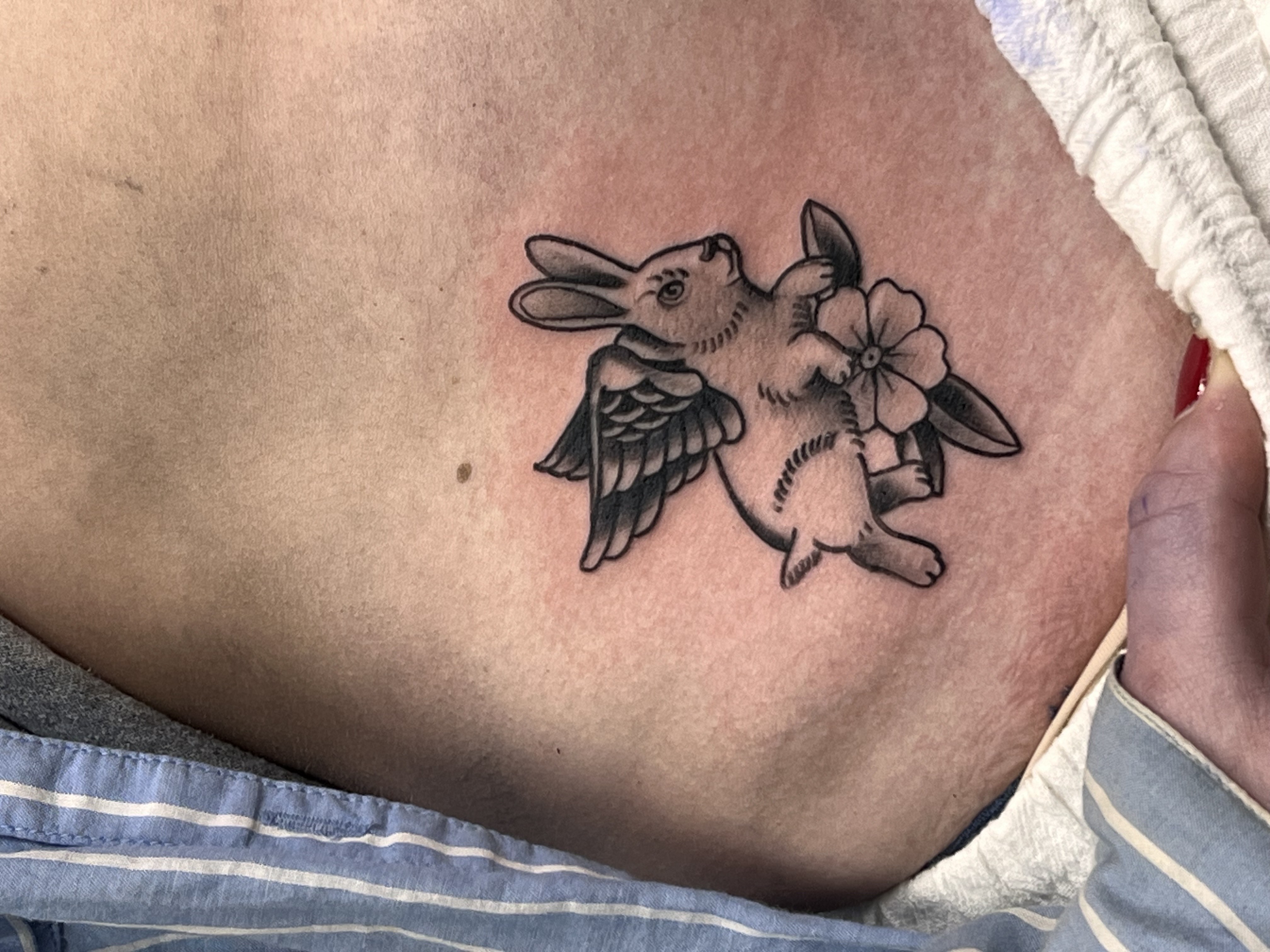 Daniel's Work - Script Design