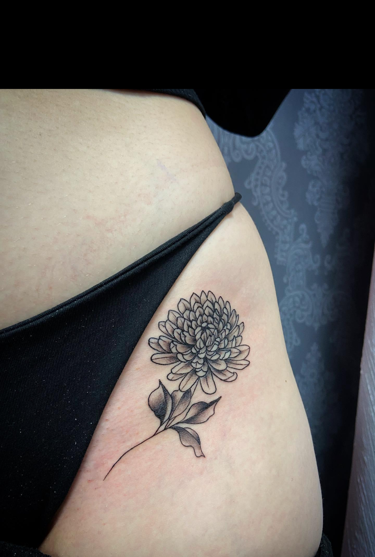 Paulo's Work - Script Art