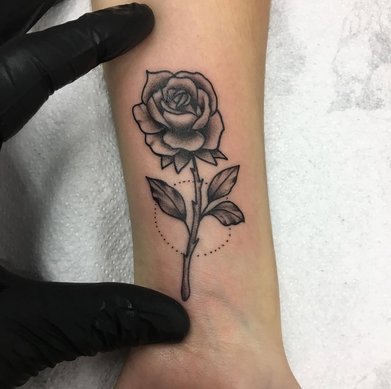 Paulo's Work - Fine Line